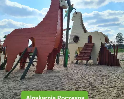 Największa Alpakarnia na Śląsku.