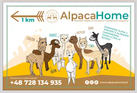 atrakcje dla dzieci alpaca home