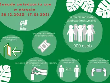 wydarzenia i atrakcje  dla dzieci w zoo ferie 2021 śląsk