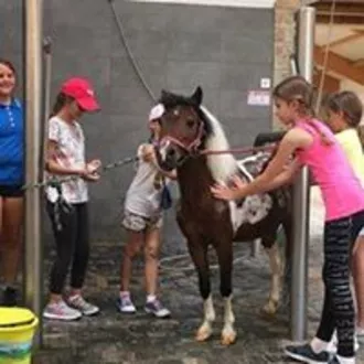 szkolenia nauki jazdy konnej dla dzieci