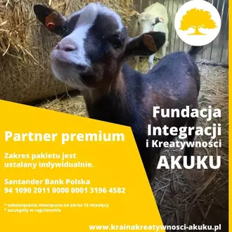 Partner Premium na atrakcje dla dzieci w Akuku