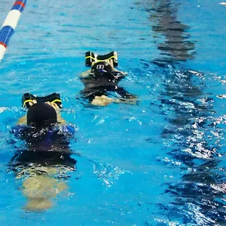 Nauka pływania Katowice Akademia pływaków