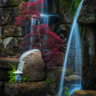 Ogród Japoński Mała Japonia atrakcje