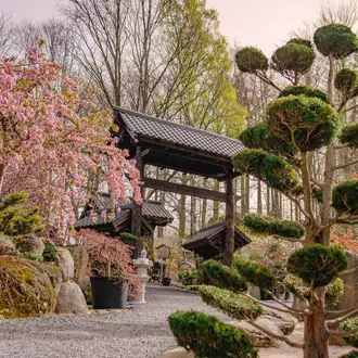 Ogród Japoński atrakcje