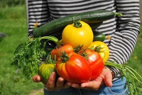 warzywa, jak zachęcić dziecko do jedzenia warzyw